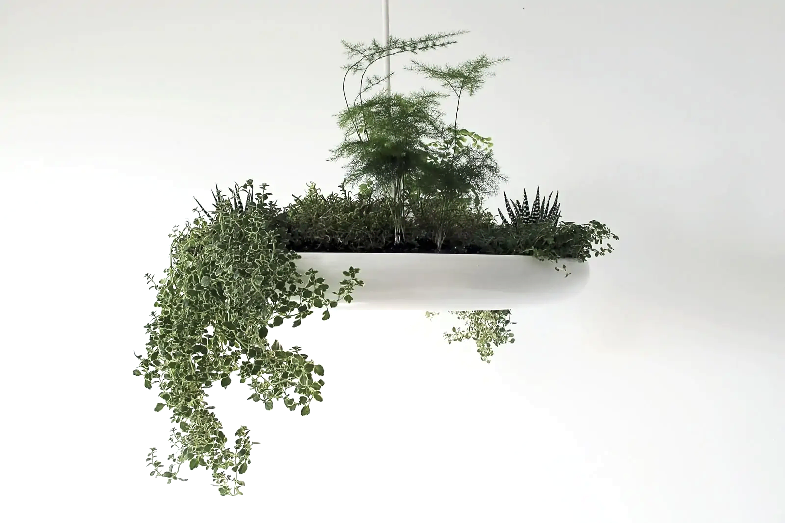 Подвесной контейнер с лампой