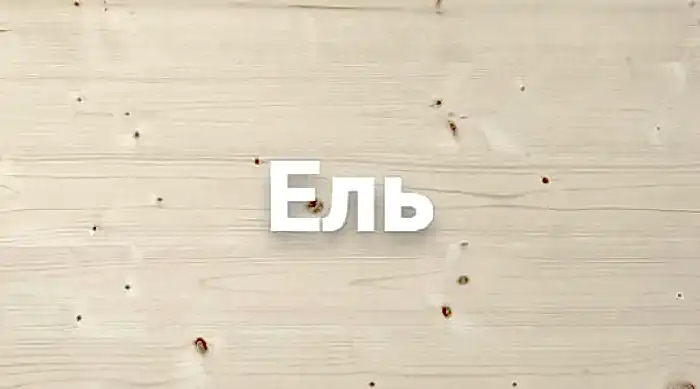 Сруб дома из бруса в Алматы из древесины ели