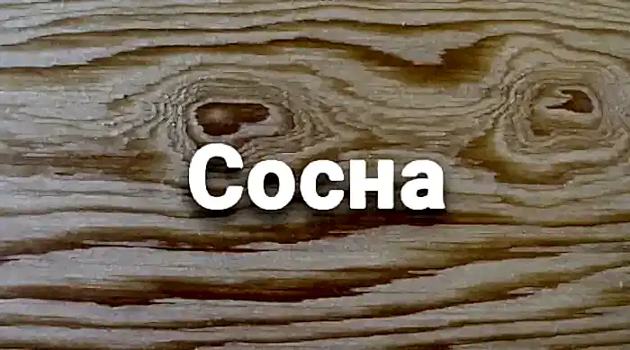 Сруб дома из бруса в Алматы из древесины сосны